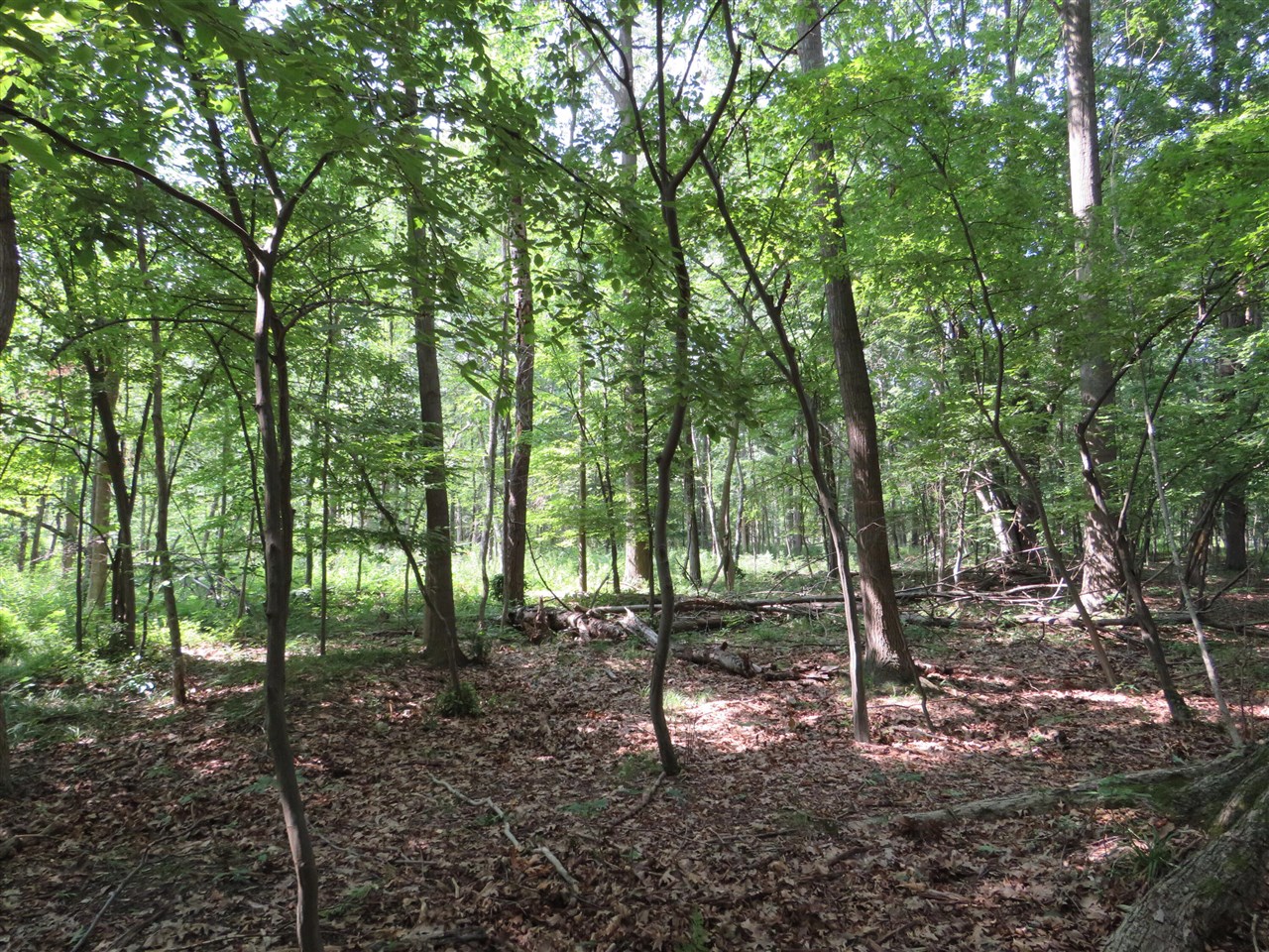 main property photo 13