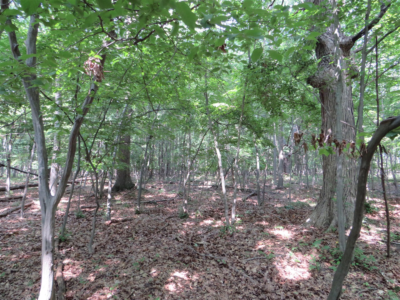 main property photo 14