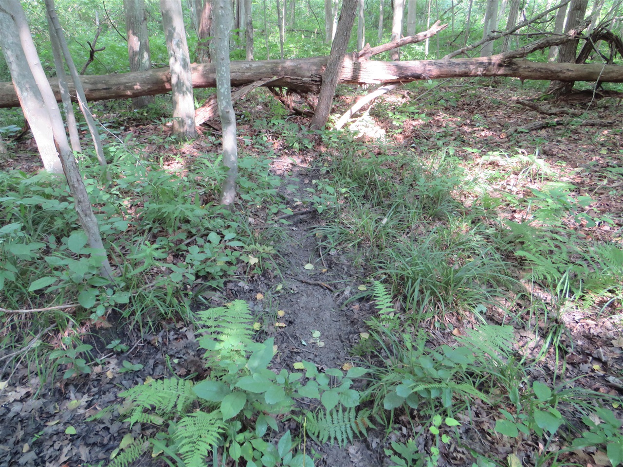 main property photo 30