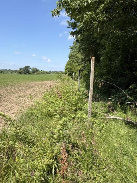 main property photo 55
