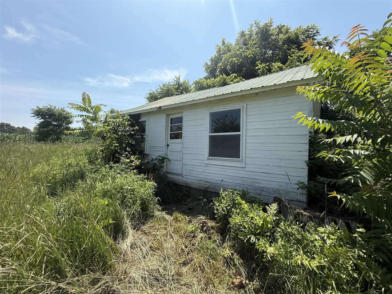 main property photo 43