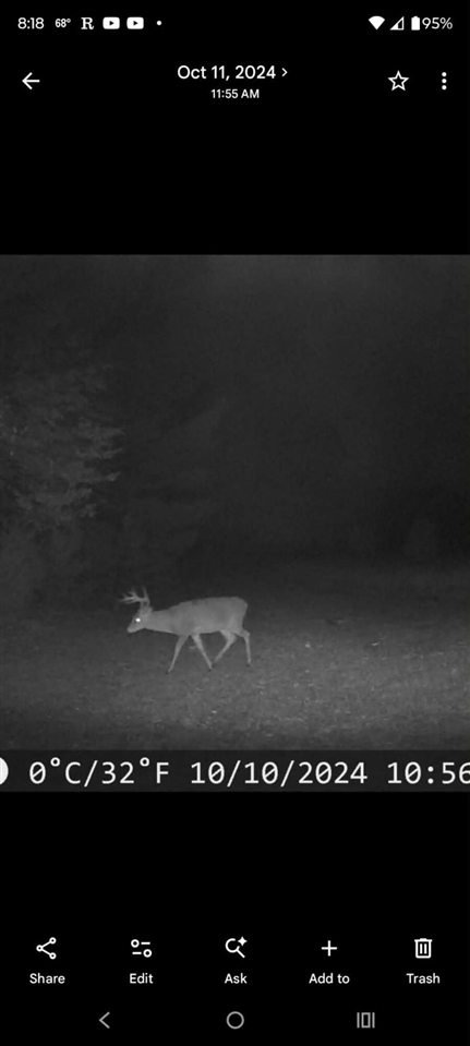 main property photo 63