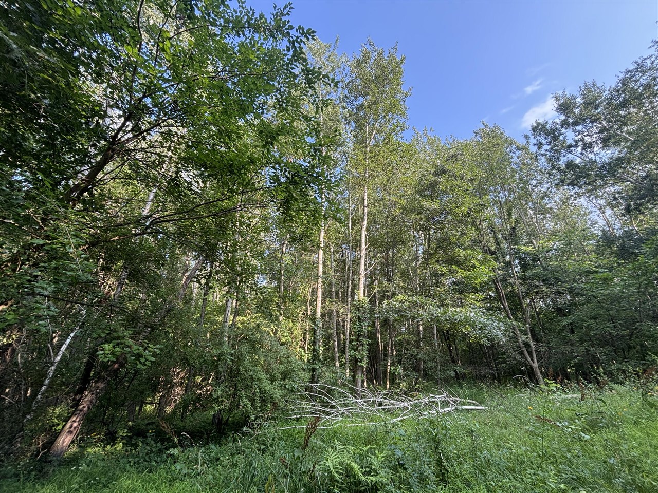 main property photo 0