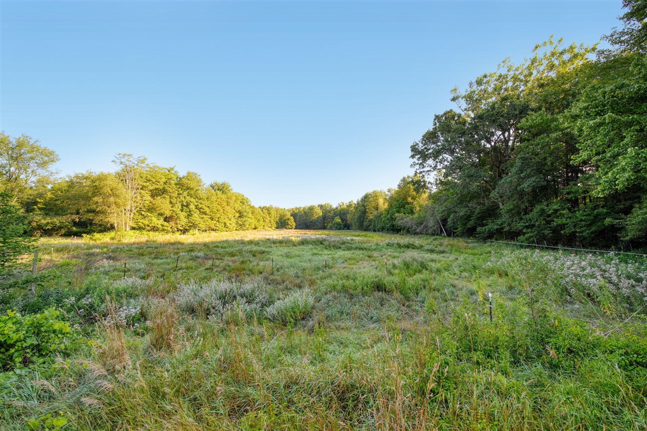 main property photo 58