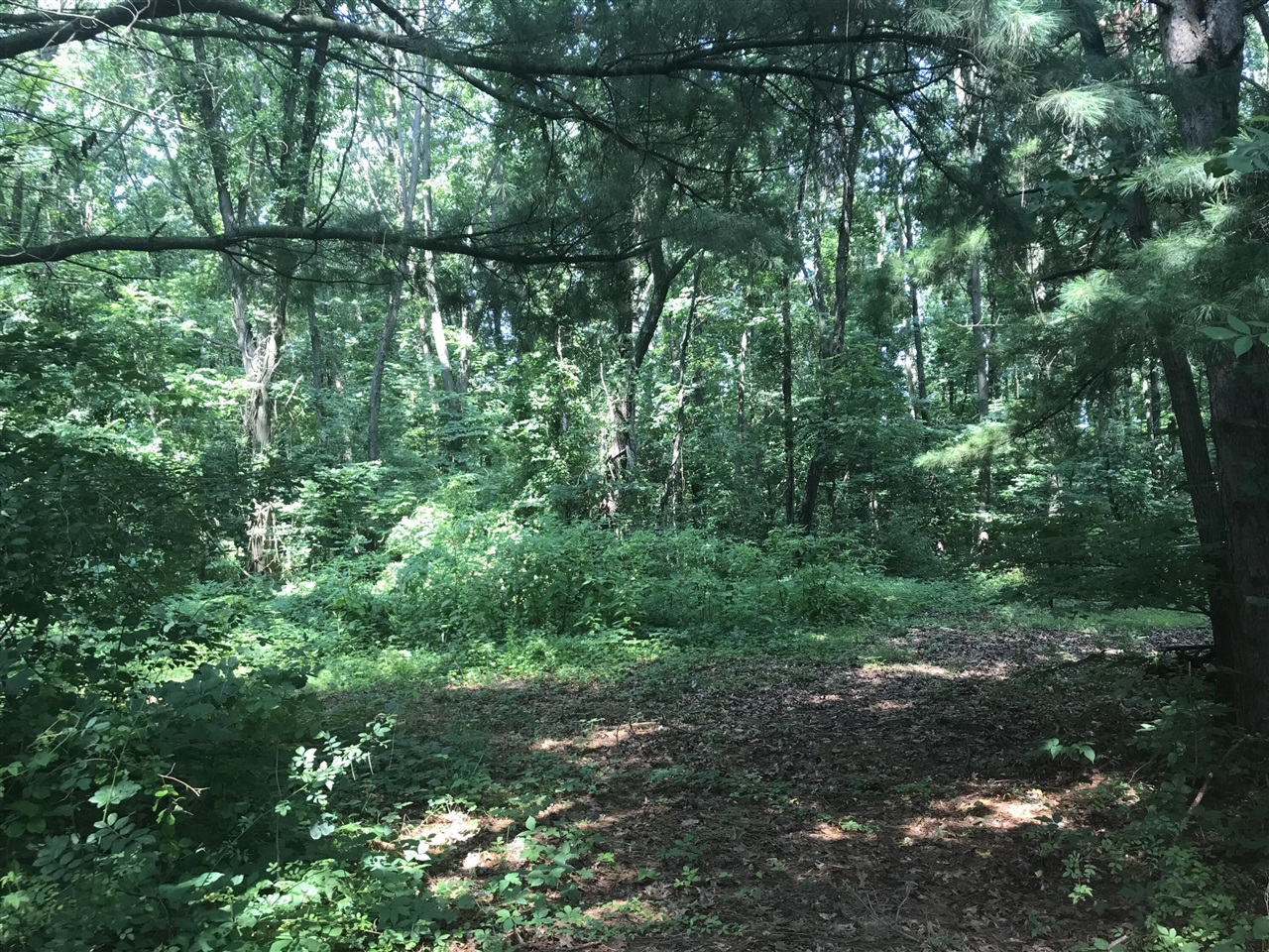 main property photo 41