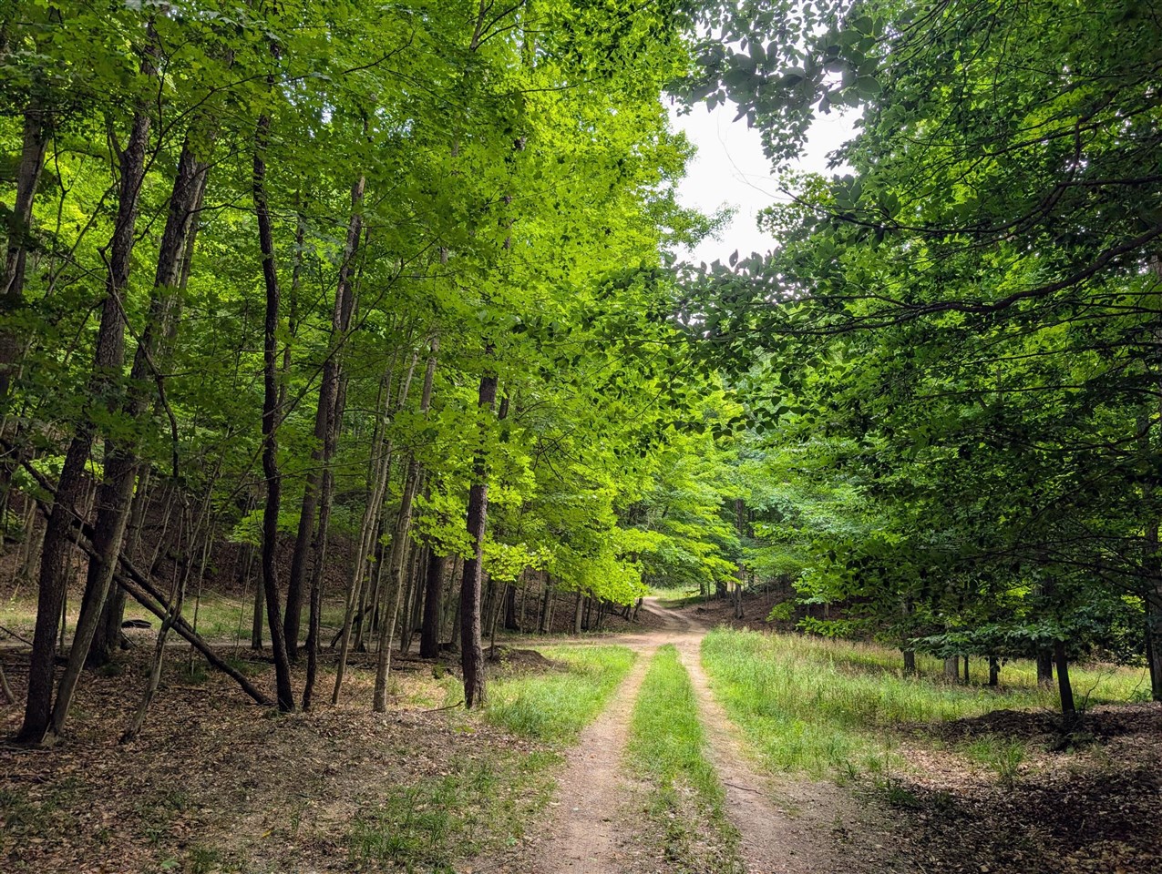 main property photo 62