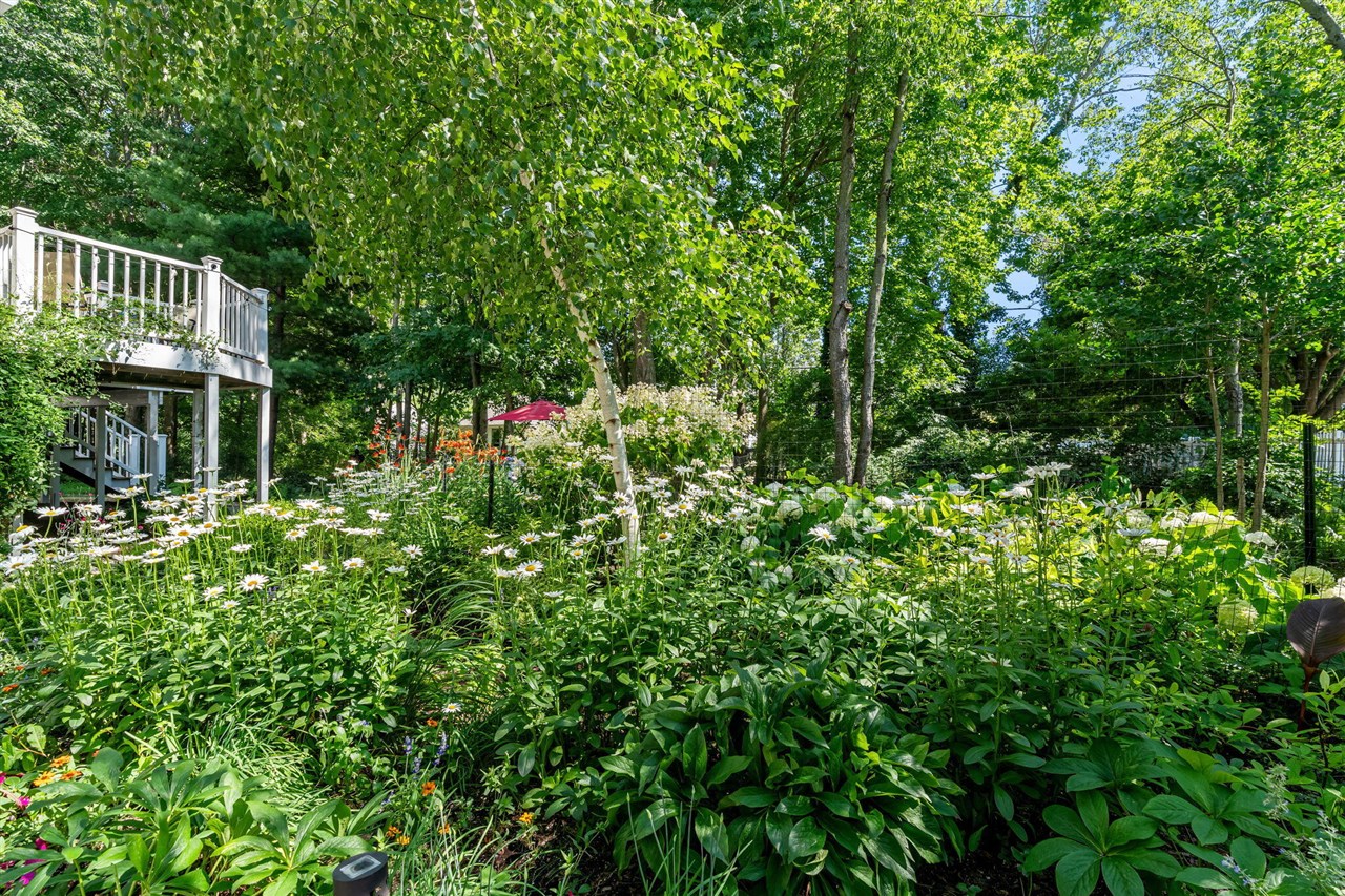 main property photo 62