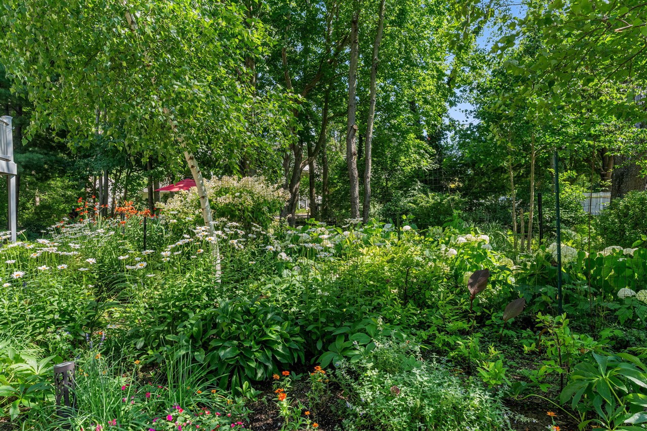 main property photo 66