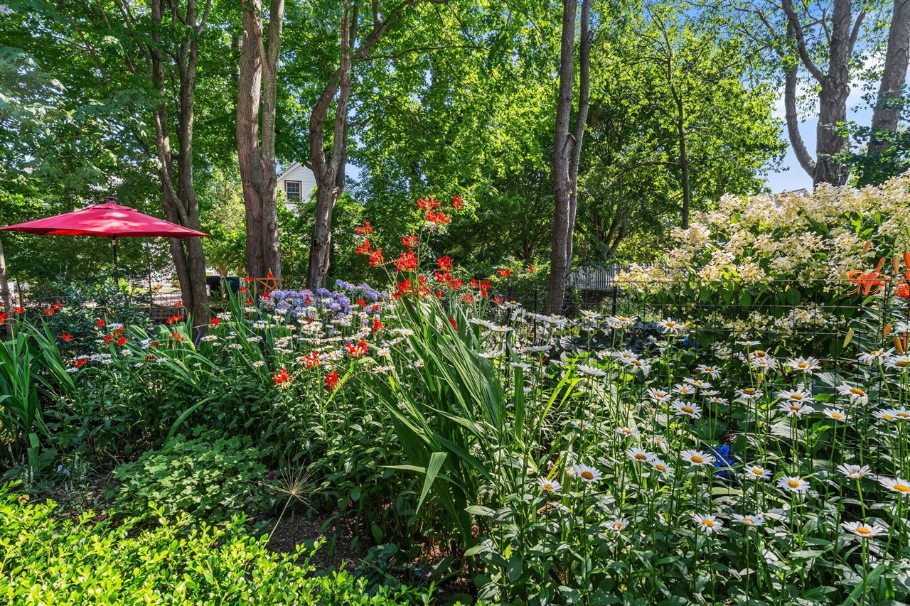 main property photo 68