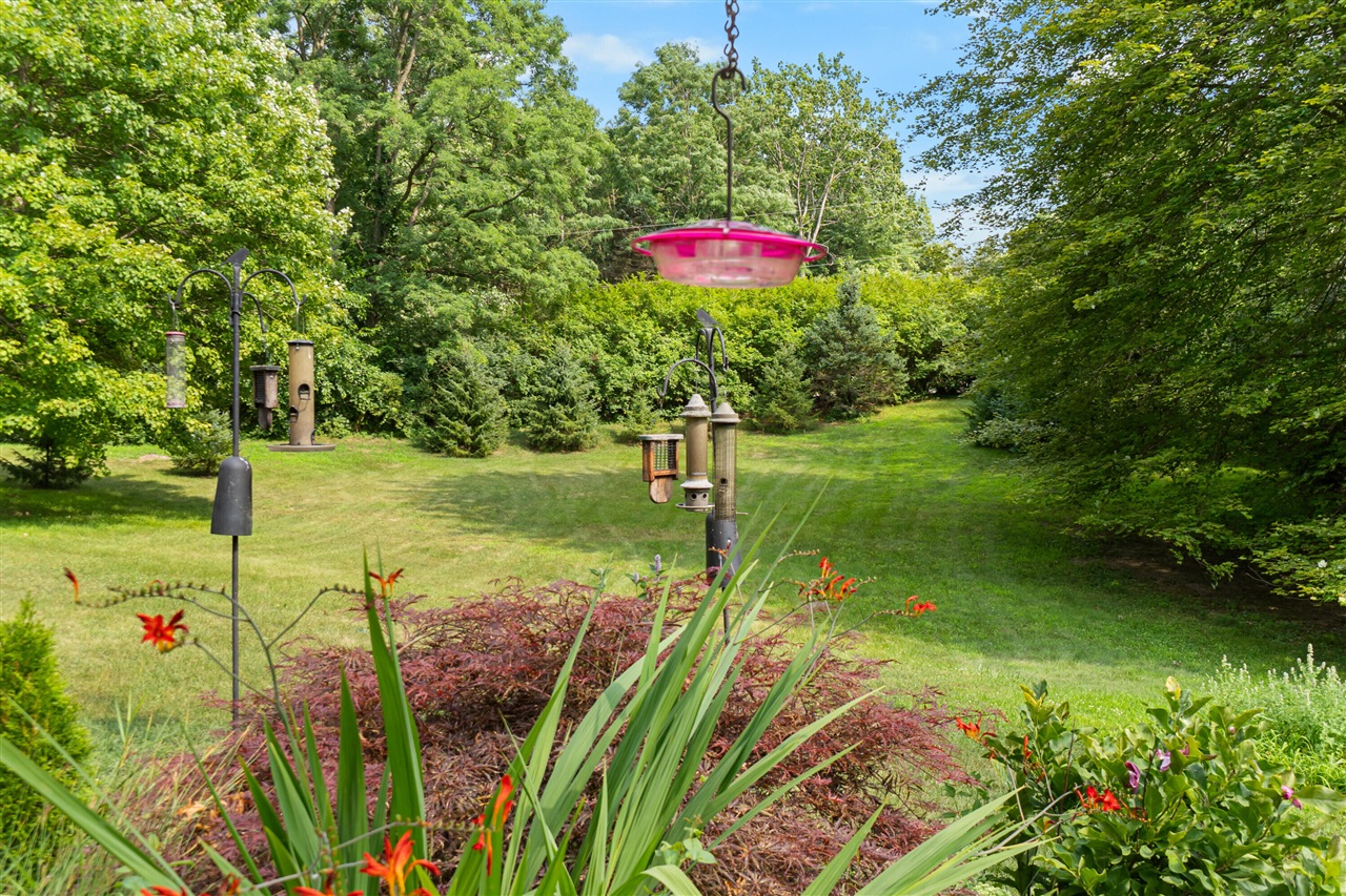 property viewer photo 4