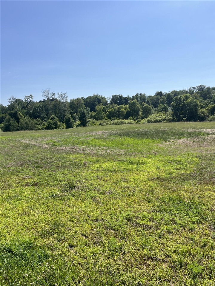 main property photo 6