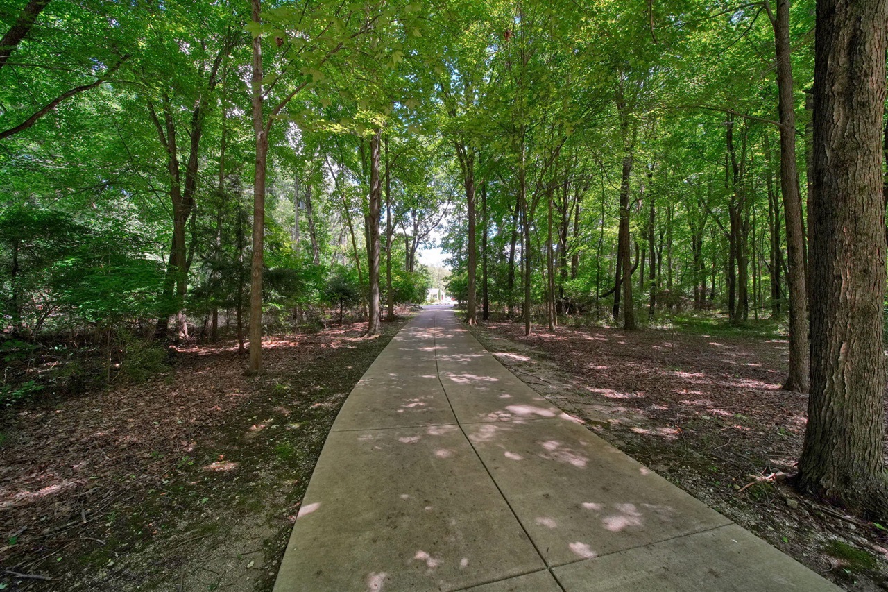 main property photo 60