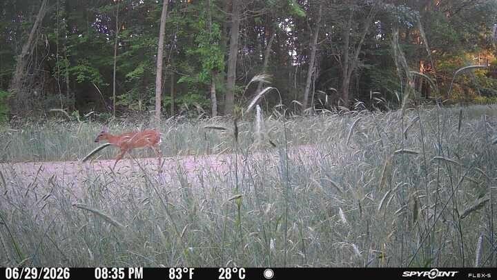 main property photo 10