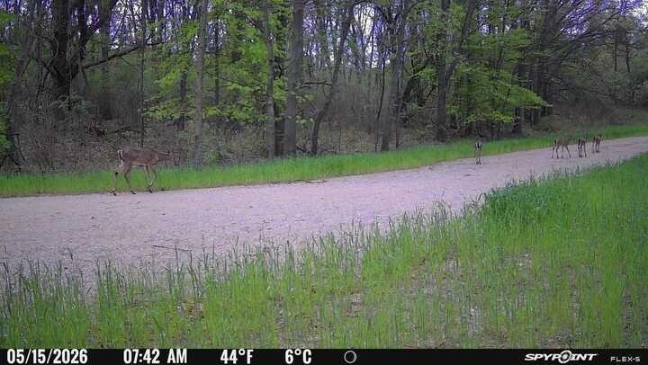 main property photo 4