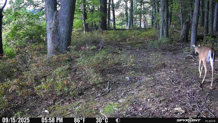 main property photo 11