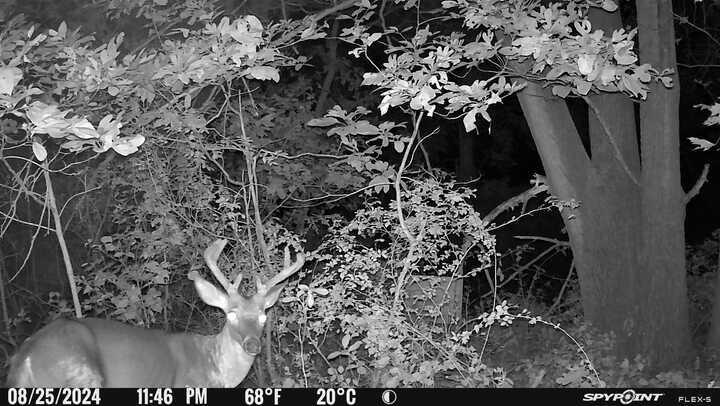 main property photo 18