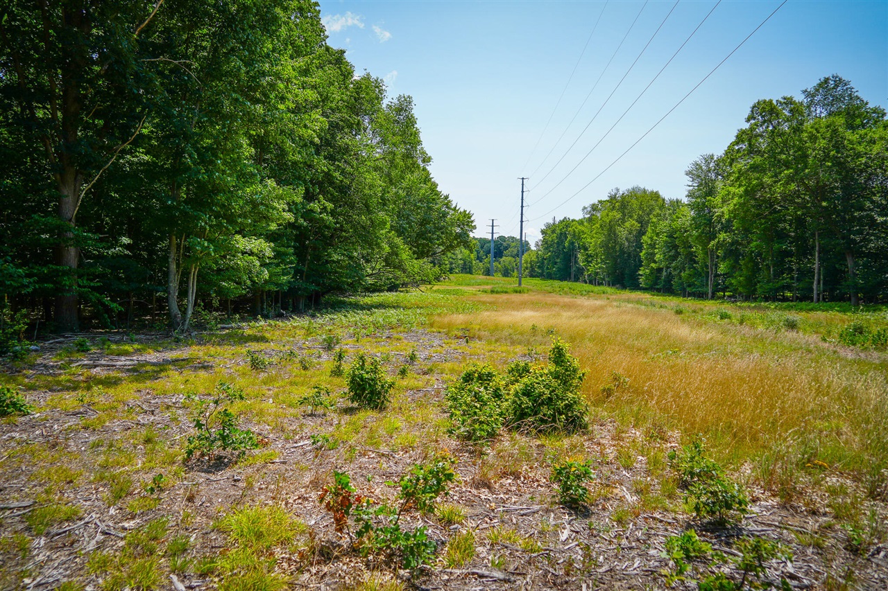 main property photo 18