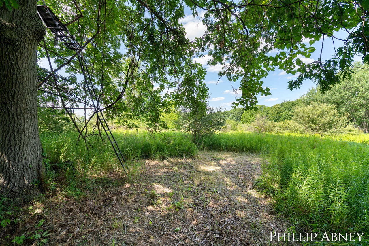 property viewer photo 44