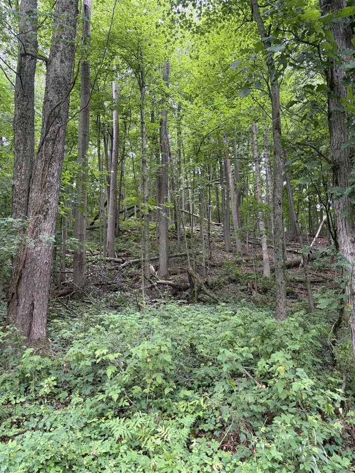 main property photo 0