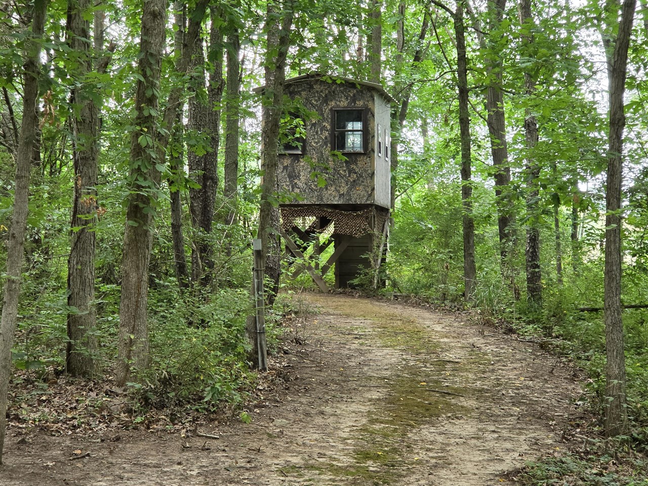 main property photo 46