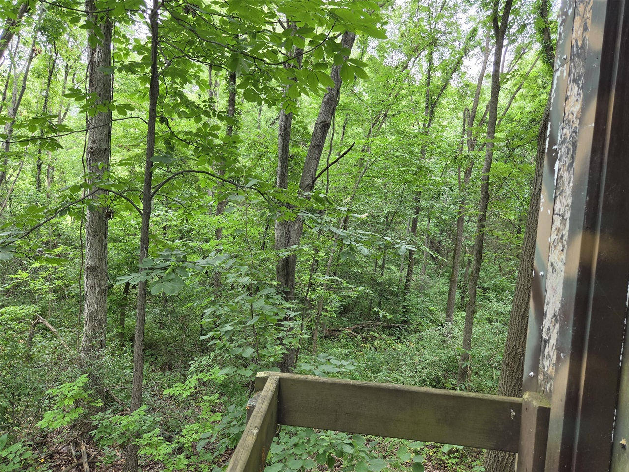 main property photo 50