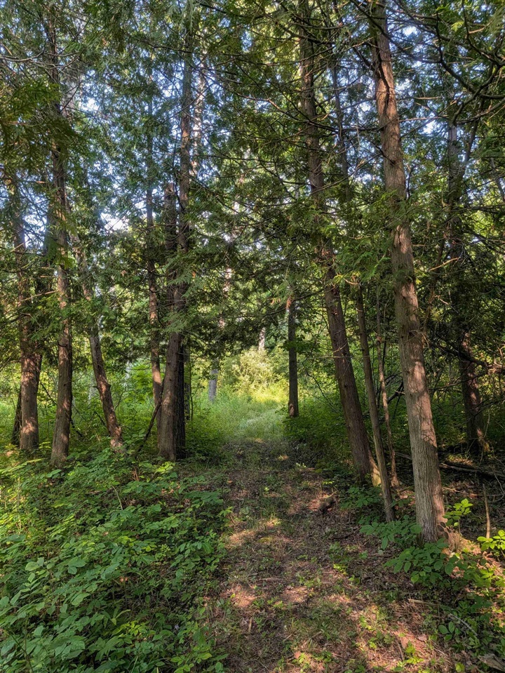 main property photo 41