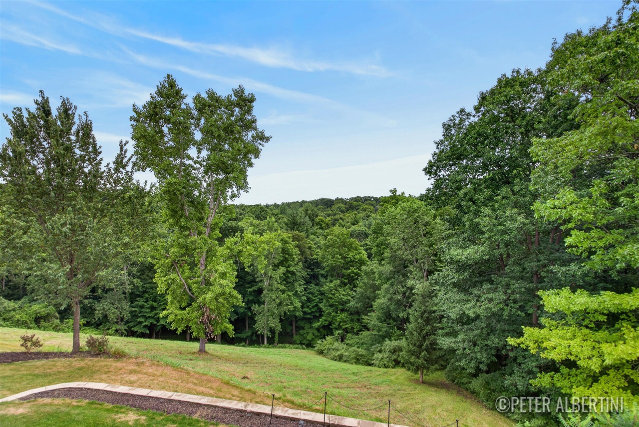 property viewer photo 40