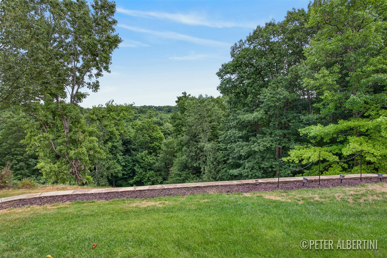 property viewer photo 42