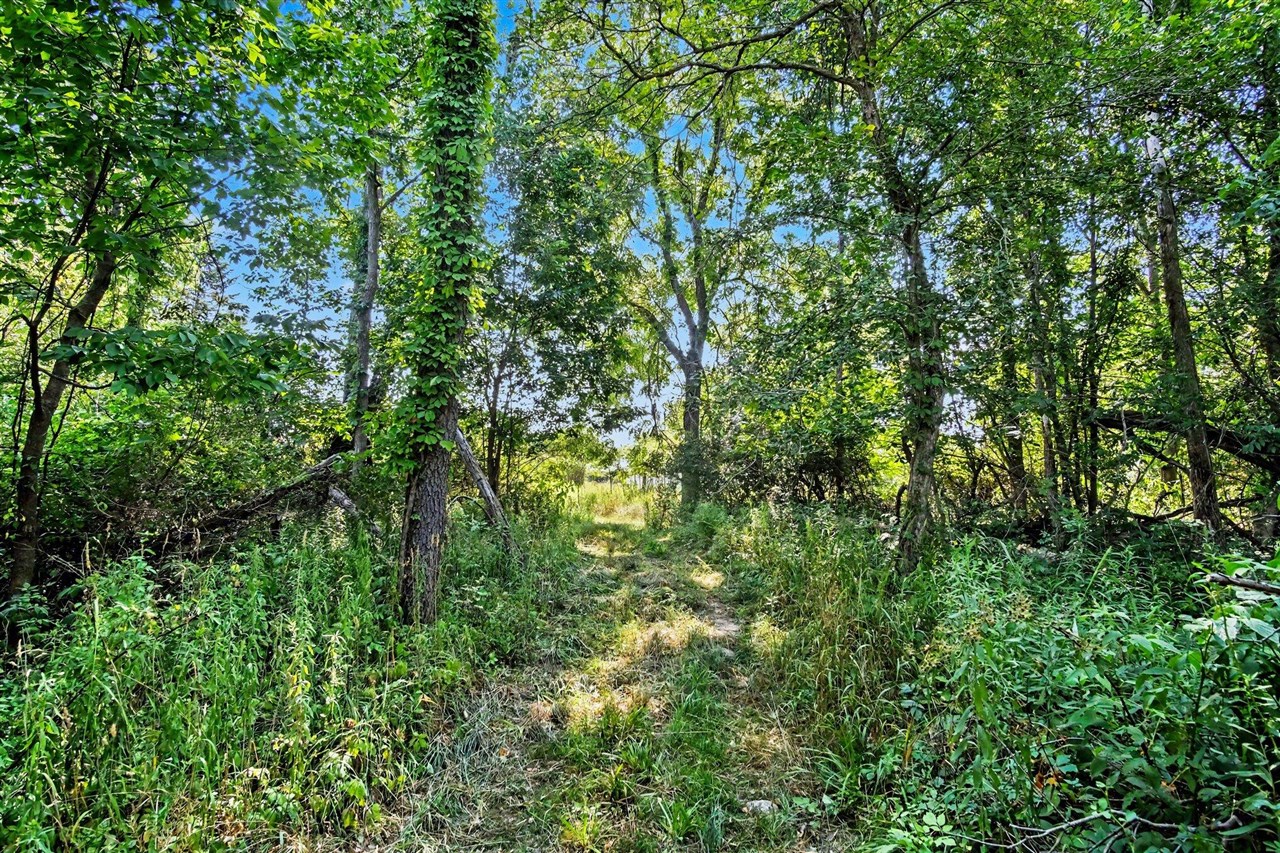 main property photo 29