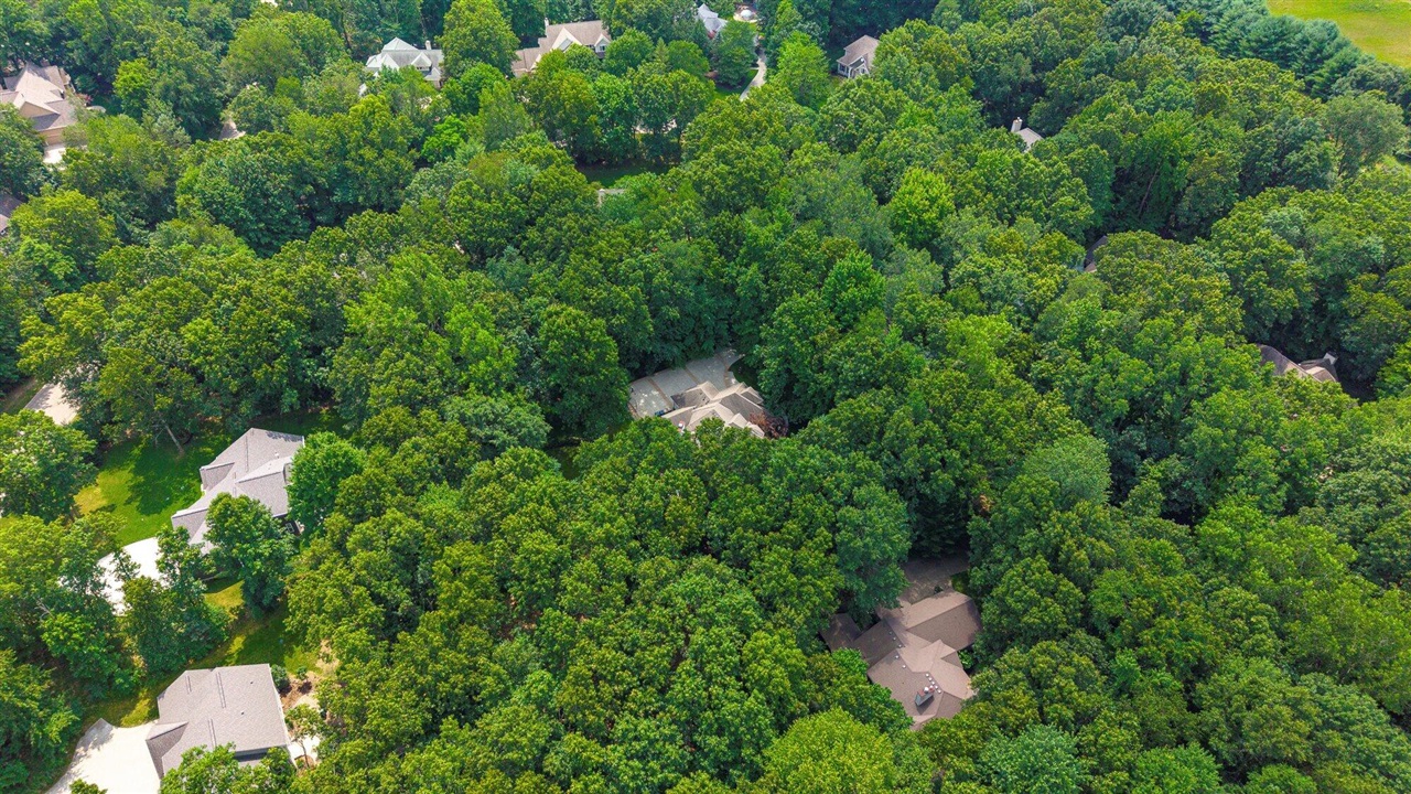 main property photo 60