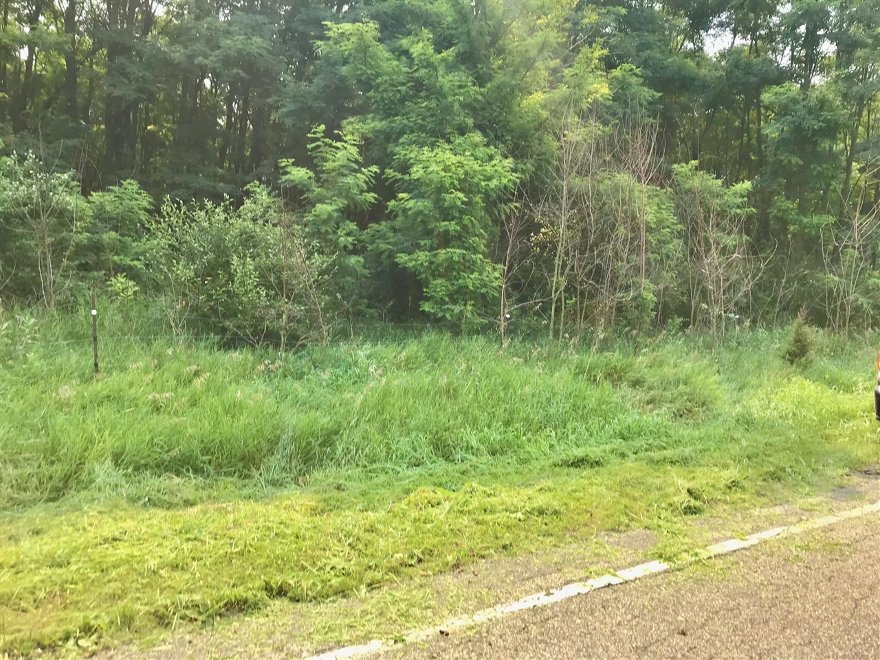 main property photo 0