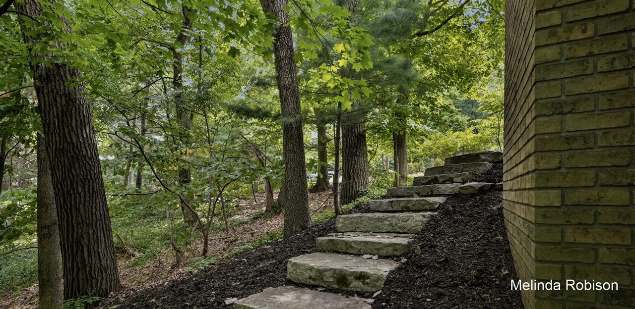 main property photo 62