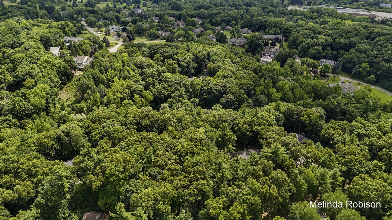 main property photo 69