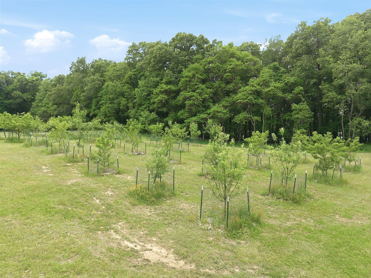main property photo 62