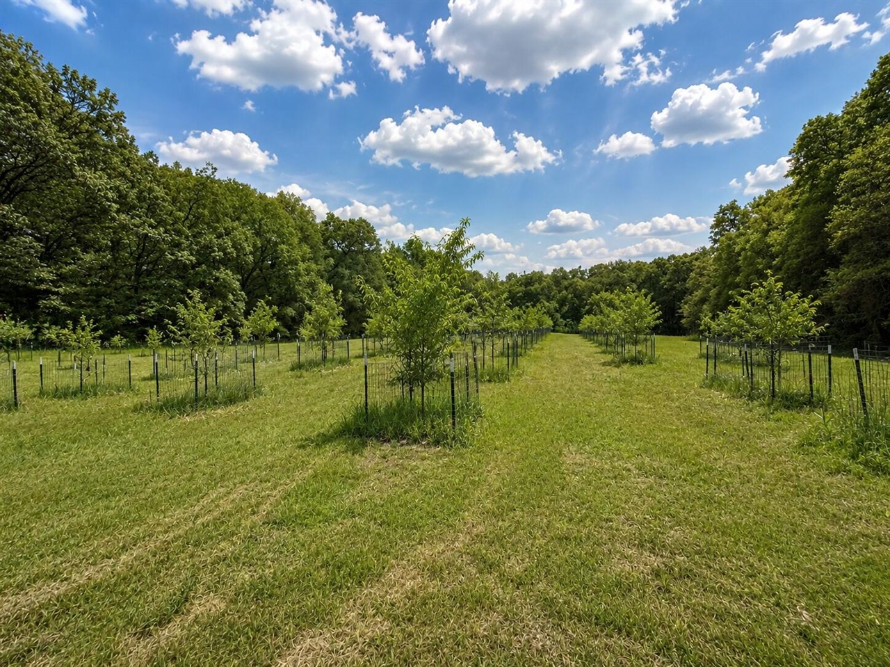 main property photo 90