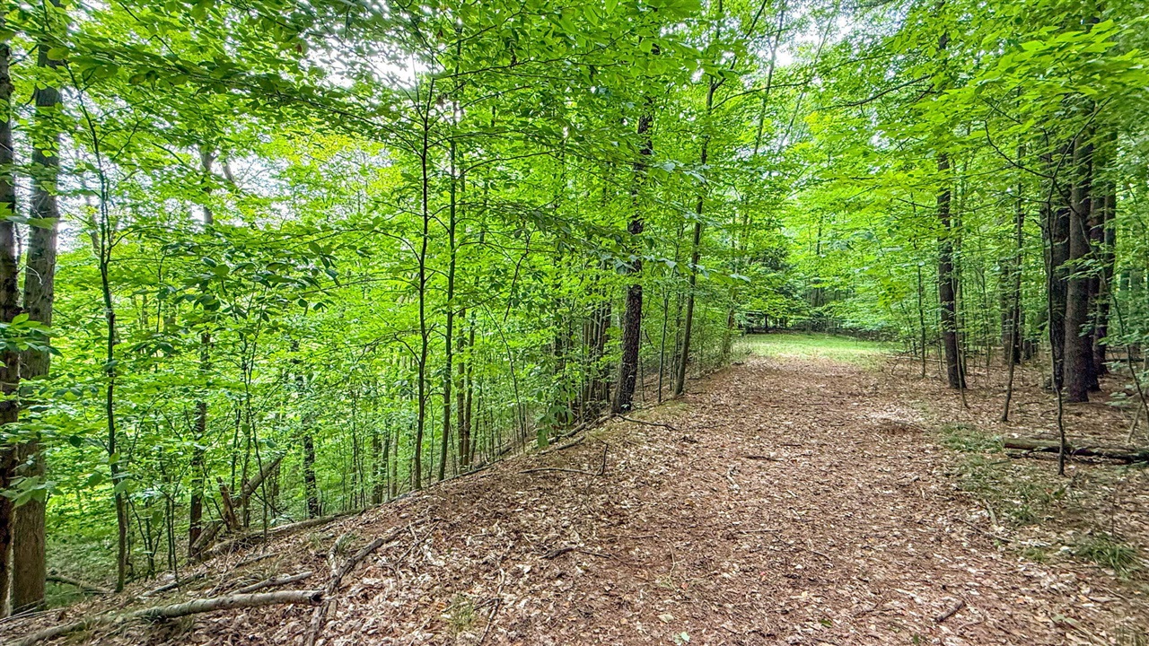 main property photo 47