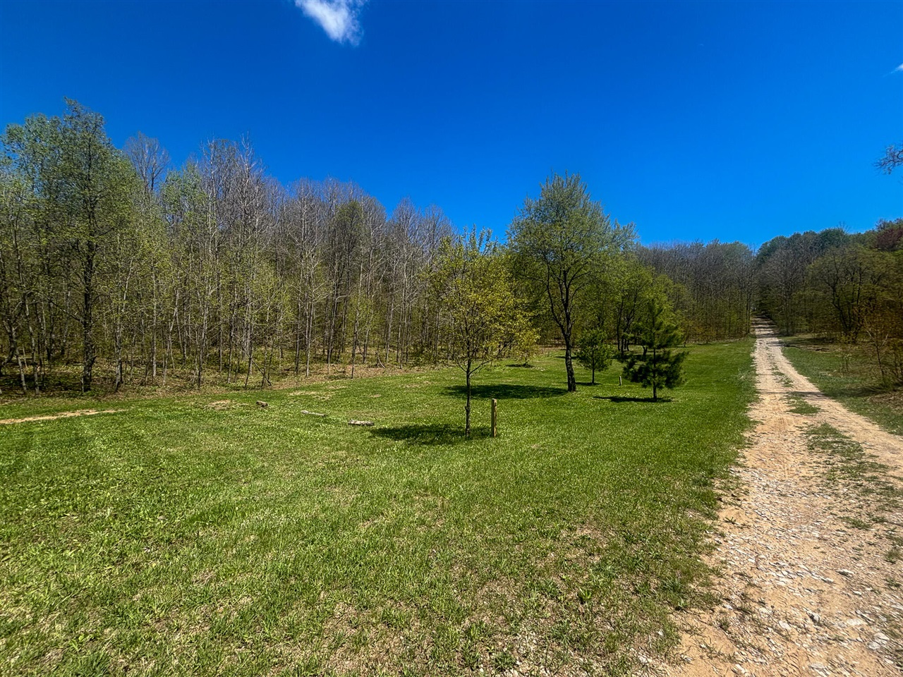 main property photo 56