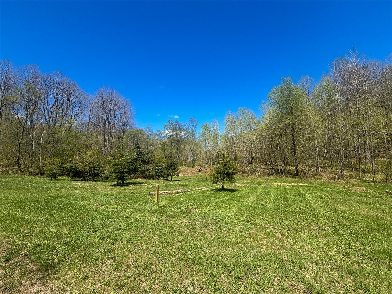main property photo 57