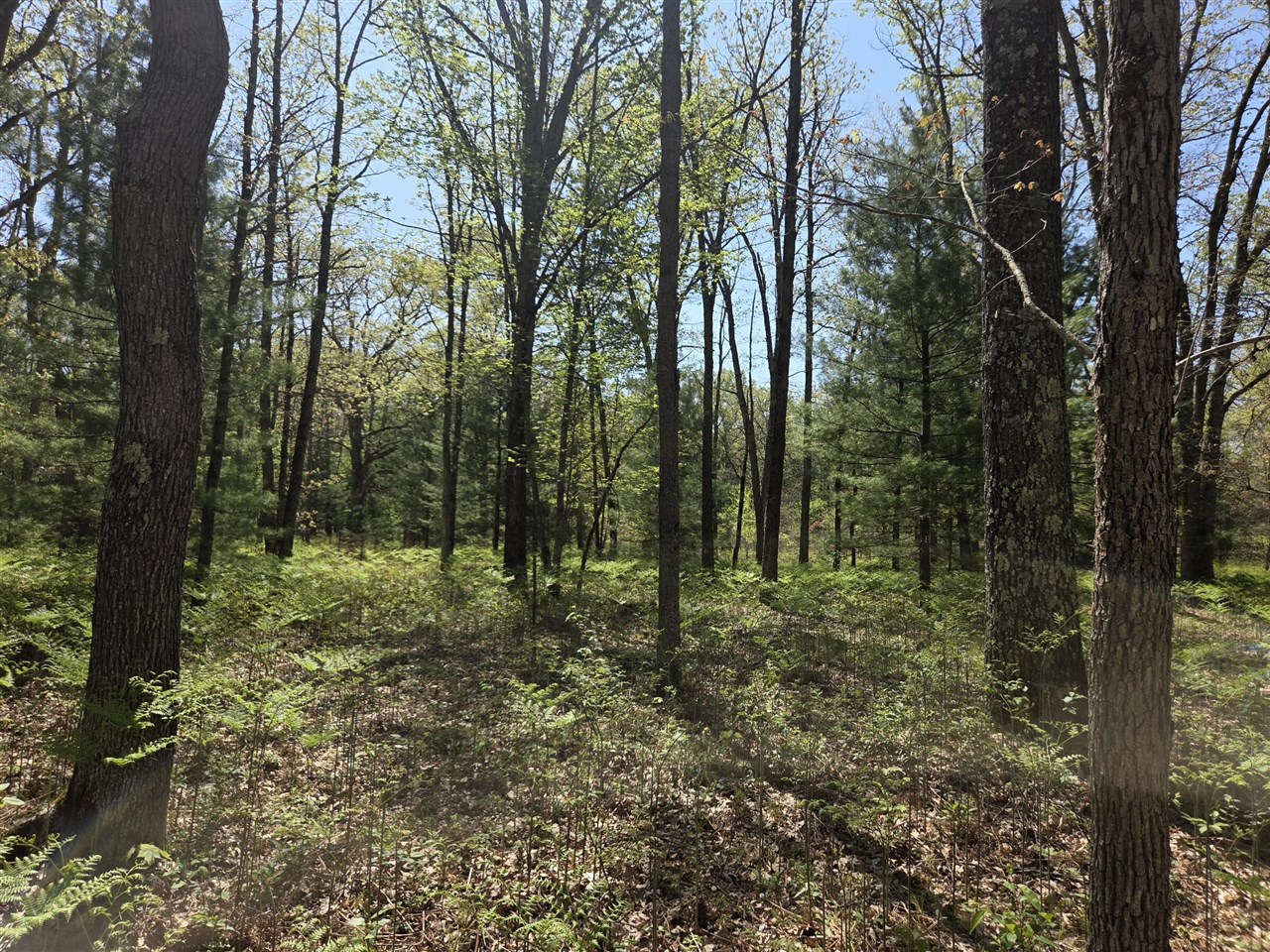 main property photo 18