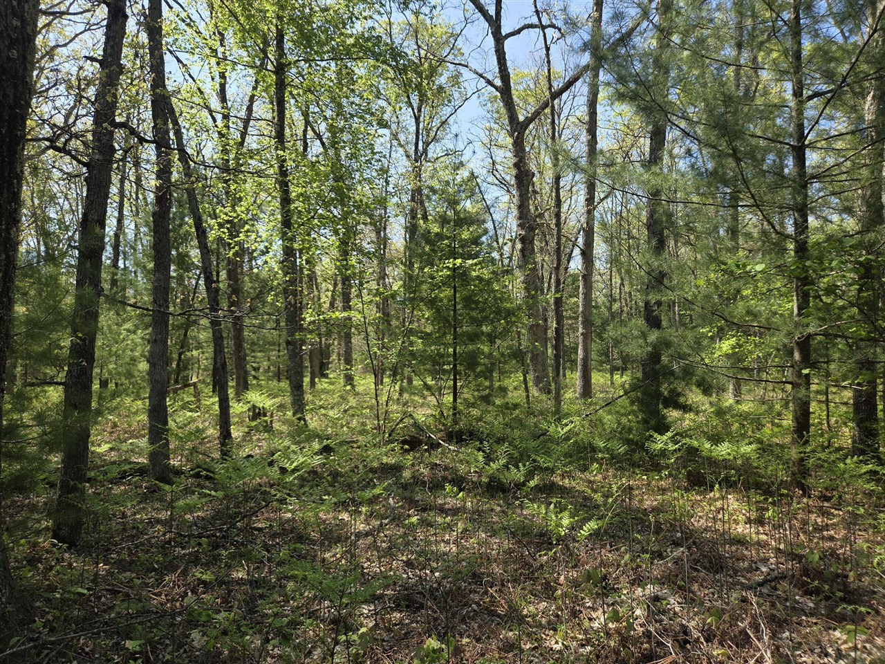 main property photo 19