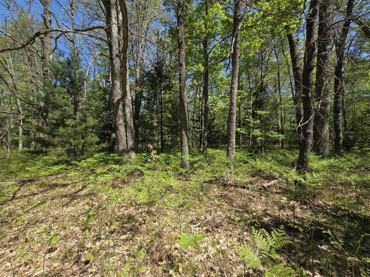 main property photo 20