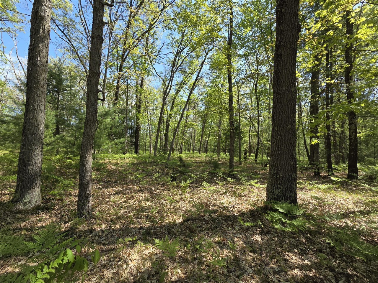 main property photo 24