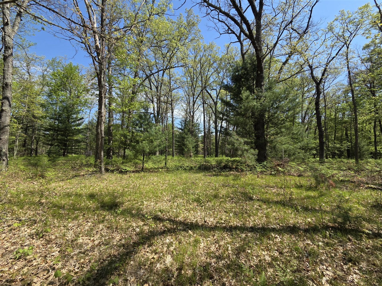 main property photo 25