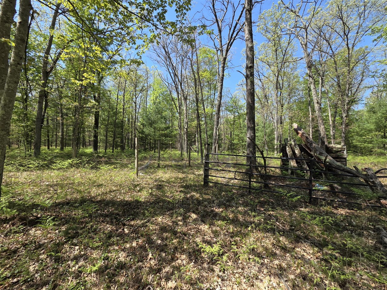 main property photo 26