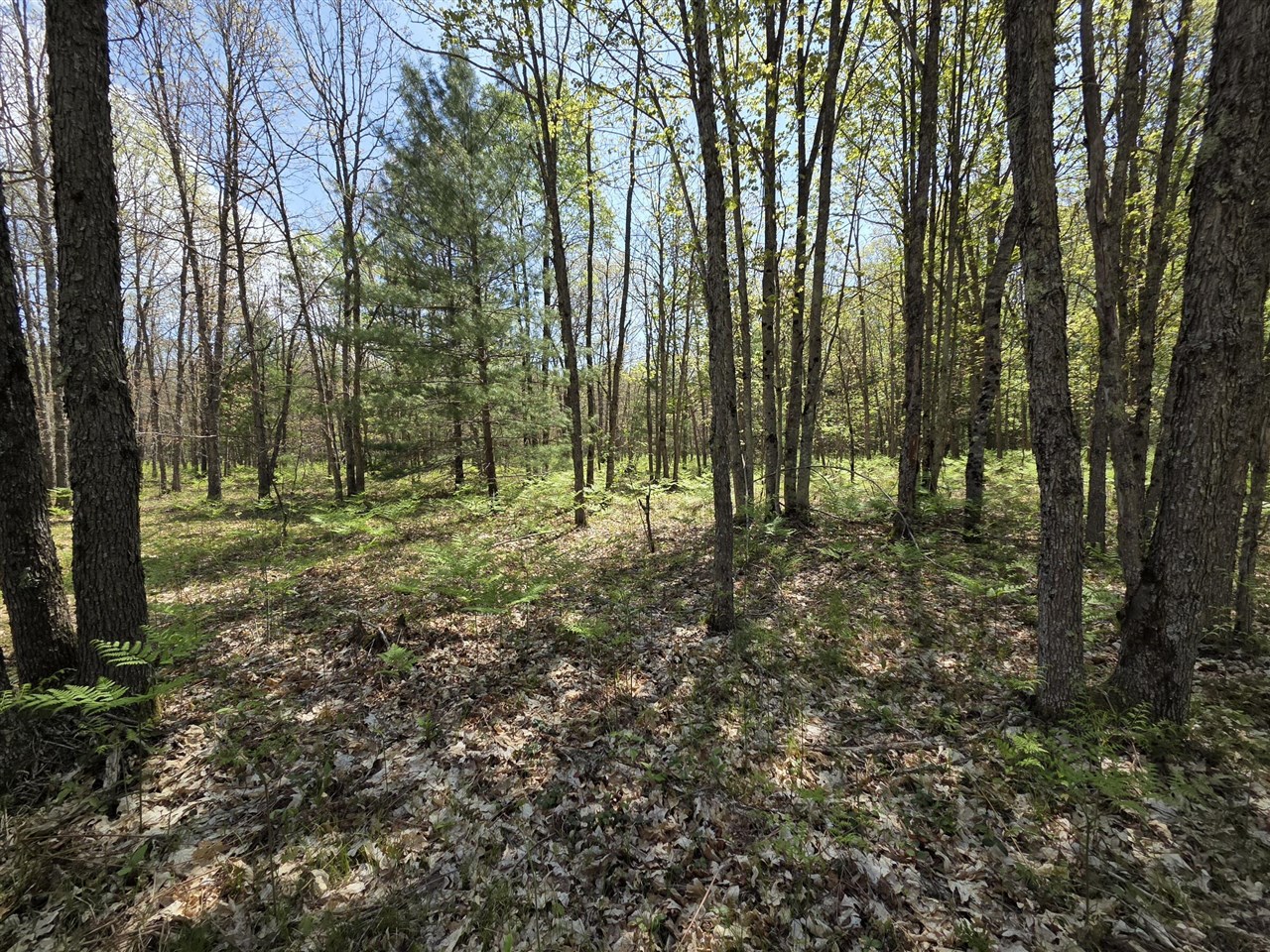 main property photo 27