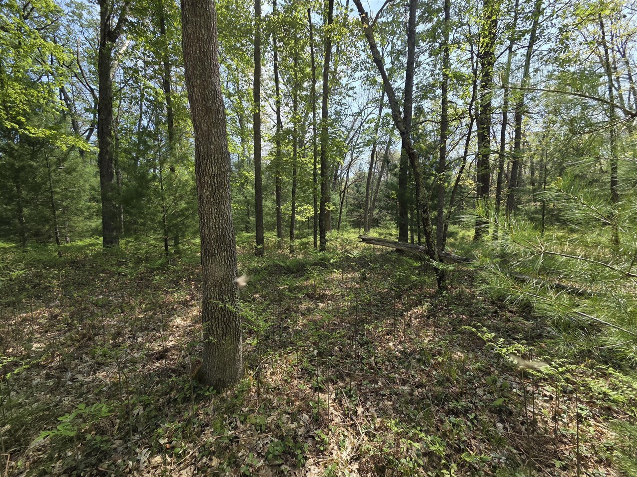 main property photo 30