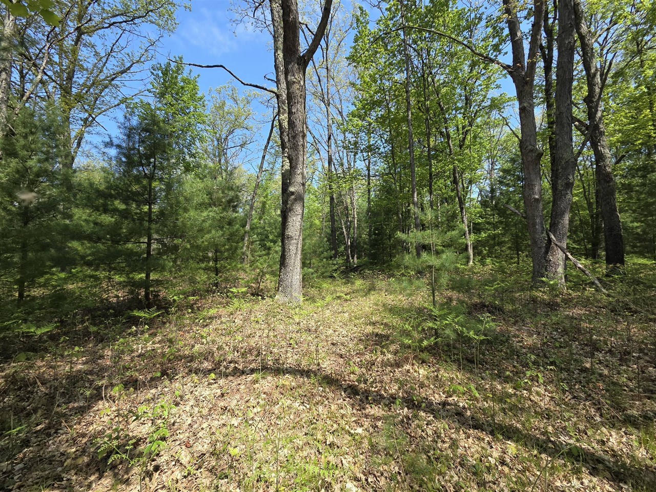 main property photo 31