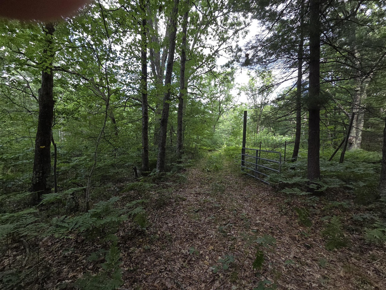 main property photo 36