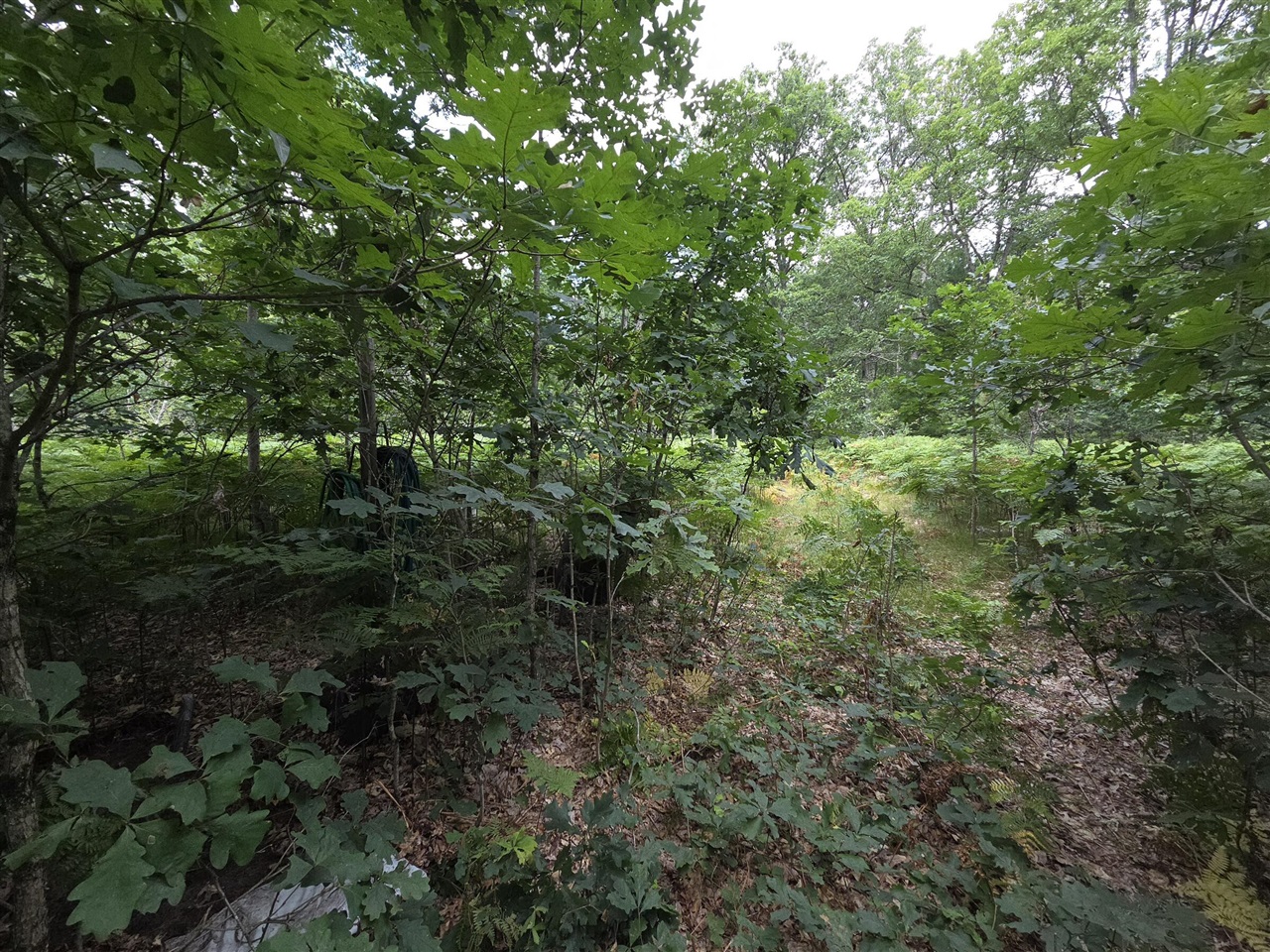 main property photo 37