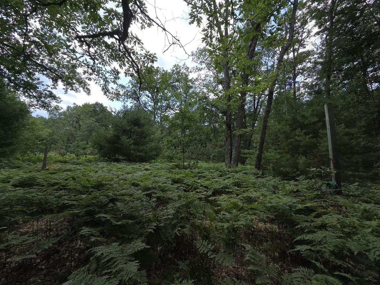 main property photo 41